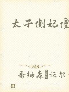 太子侧妃傻乎乎封面