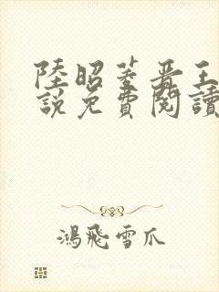 陆昭菱晋王的小说免费阅读