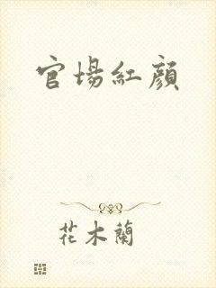 官场红颜