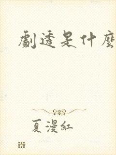 剧透是什么意思