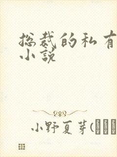 总裁的私有宝贝小说