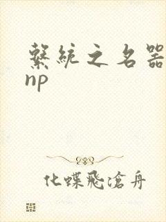 系统之名器攻略np封面