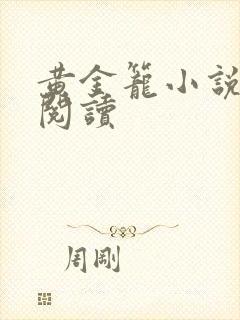 黄金笼小说免费阅读封面