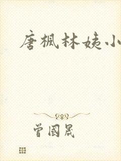 唐枫林姨小说封面