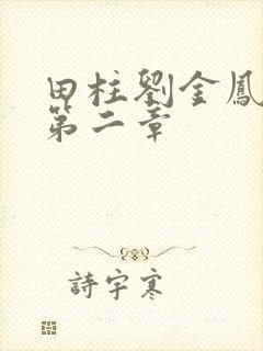 田柱刘金凤小说第二章封面