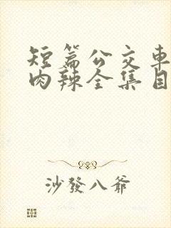 短篇公交车高h肉辣全集目录封面