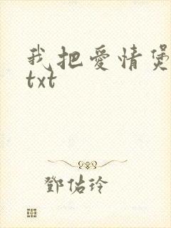 我把爱情煲成汤txt