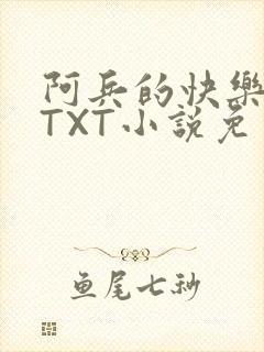 阿兵的快乐生活TXT小说免费阅读全章封面