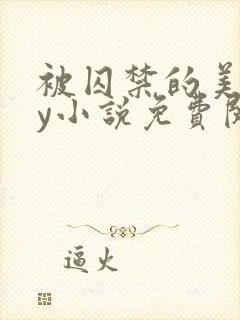 被囚禁的美人by小说免费阅读封面