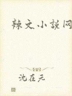 辣文小说网