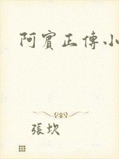 阿宾正传小说
