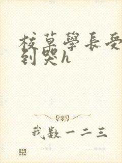 校草学长受被做到哭h