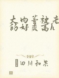 大肉蒂被老头嘬的好爽高h