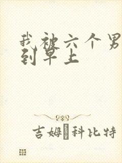 我被六个男人躁到早上封面