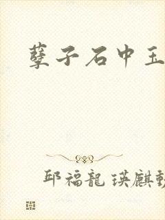 孽子石中玉