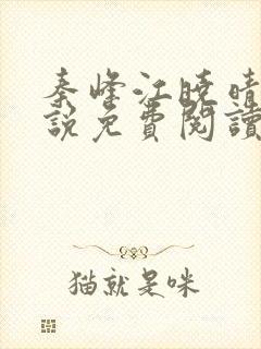 秦峰江晓晴的小说免费阅读