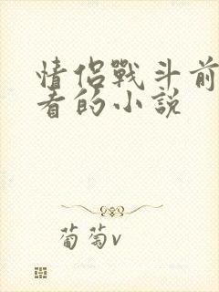 情侣战斗前适合看的小说封面