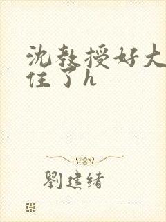 沈教授好大含不住了h