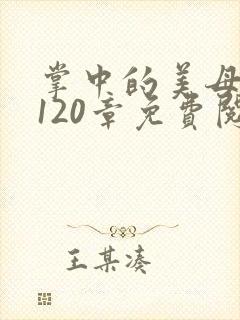 掌中的美母版主120章免费阅读