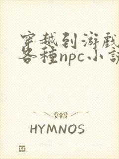 穿越到游戏里和各种npc小说