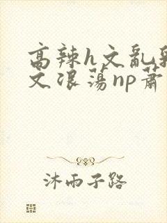 高辣h文乱乳h文浪荡np萧太后封面