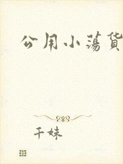 公用小荡货芊芊封面