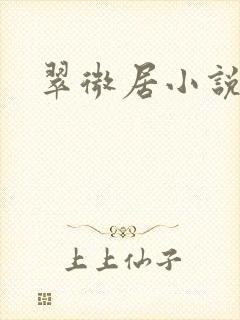 翠微居小说