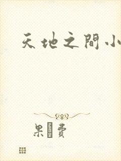天地之间小说封面