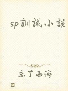 sp训诫小说