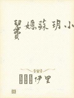 儿媳苏玥小说免费