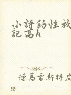 小诗的性放荡日记高h