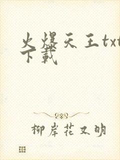 火爆天王txt下载