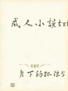 成人小说txt