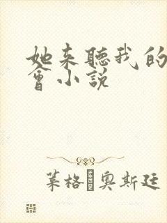 她来听我的演唱会小说封面