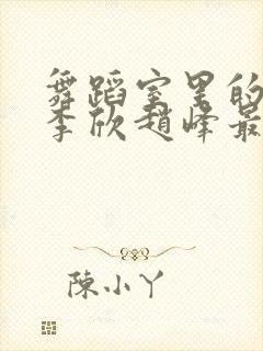 舞蹈室里的景色李欣赵峰最新章节