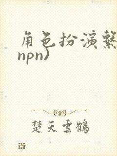 角色扮演系统(npn)