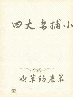 四大名捕小说