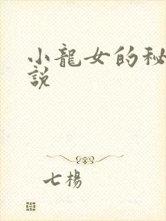 小龙女的秘密小说