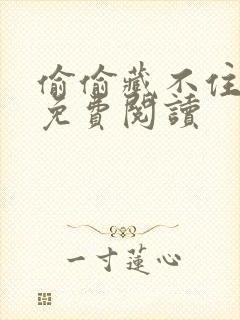 偷偷藏不住小说免费阅读