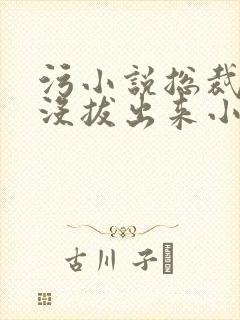 污小说总裁整夜没拔出来小说在线阅读