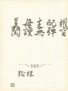 美母支配权全文阅读无弹窗笔趣阁封面