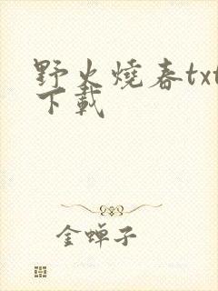 野火烧春txt下载