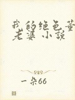 我的绝色董事长老婆 小说