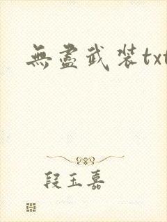 无尽武装txt封面