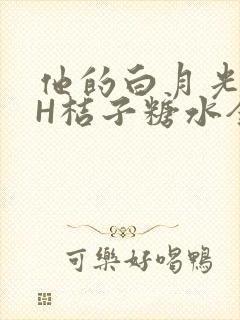 他的白月光HVH桔子糖水全文
