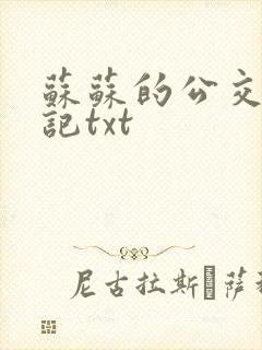 苏苏的公交车日记txt