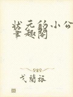 状元的小公主 笔趣阁封面