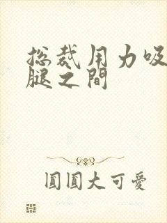 总裁用力吸允两腿之间