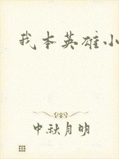 我本英雄小说