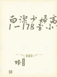 白洁少妇高义第1一178章小说